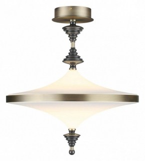 Светильник на штанге Odeon Light Ula 5404/43CL в Краснокамске - krasnokamsk.ok-mebel.com | фото 2