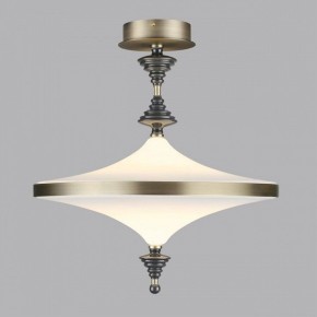 Светильник на штанге Odeon Light Ula 5404/43CL в Краснокамске - krasnokamsk.ok-mebel.com | фото 3