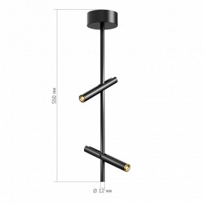 Светильник на штанге ST-Luce LILT SL6210.403.02 в Краснокамске - krasnokamsk.ok-mebel.com | фото 3