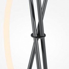 Торшер Maytoni Crochet MOD369FL-L36B3K в Краснокамске - krasnokamsk.ok-mebel.com | фото 8