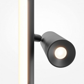 Торшер Maytoni Thin MOD395FL-L28B3K в Краснокамске - krasnokamsk.ok-mebel.com | фото 6