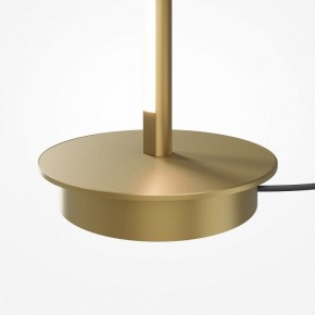 Торшер Maytoni Thin MOD395FL-L28BS3K в Краснокамске - krasnokamsk.ok-mebel.com | фото 7
