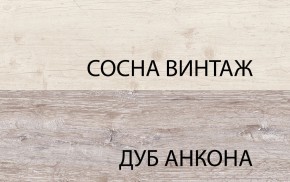 Тумба RTV 1D2SN, MONAKO, цвет Сосна винтаж/дуб анкона в Краснокамске - krasnokamsk.ok-mebel.com | фото 3